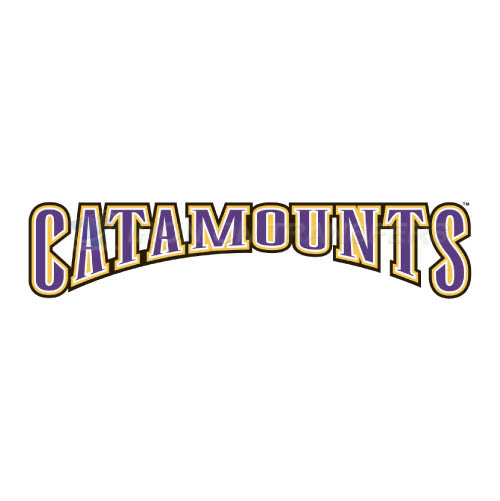 Western Carolina Catamounts Iron-on Stickers (Heat Transfers)NO.6953